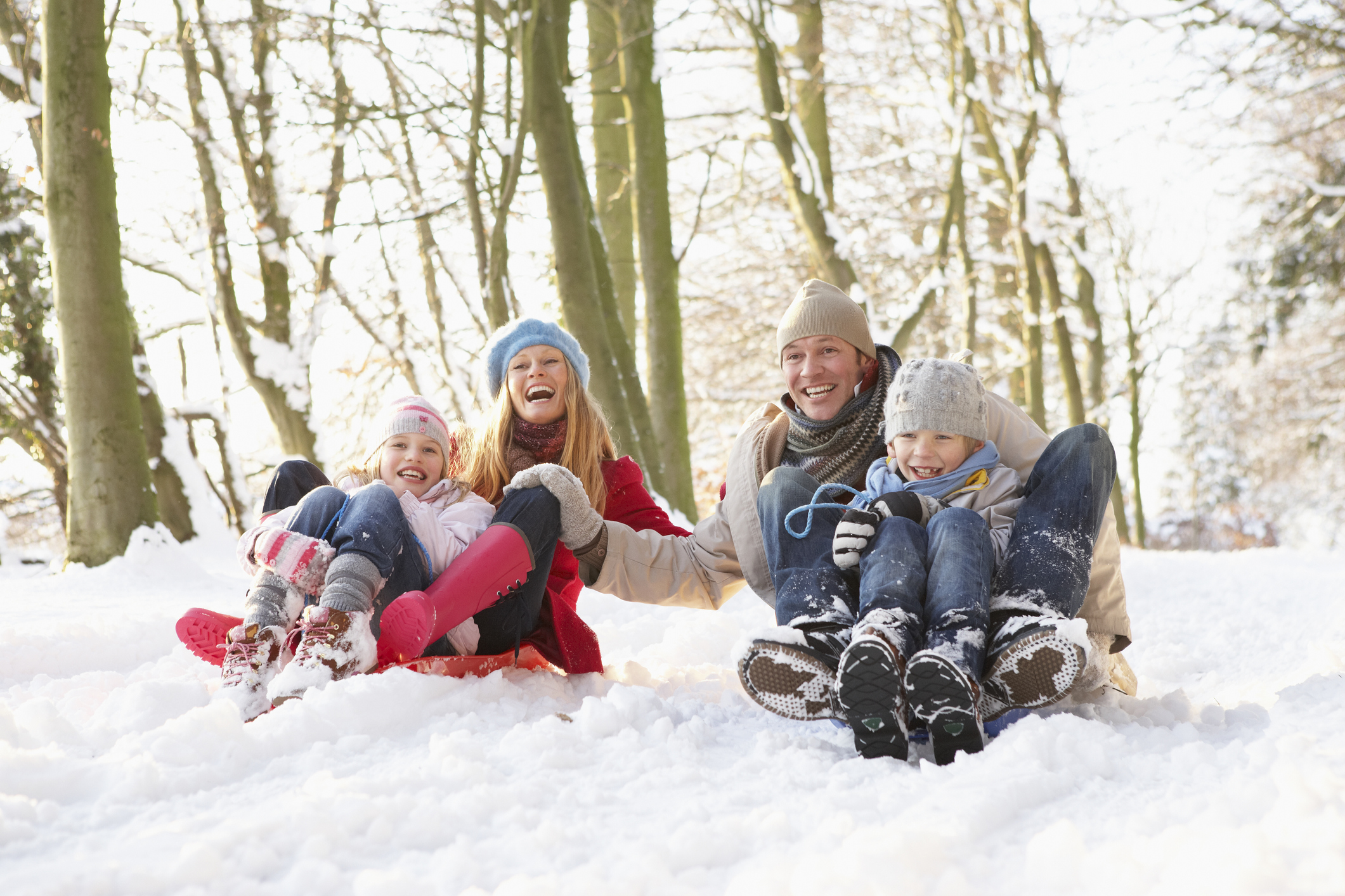 Family Sledging Through Snowy Woodland Family Sledding together
