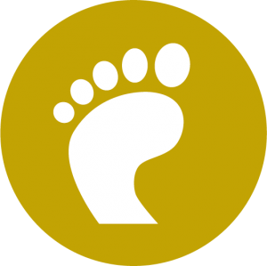 AOS Foot and Ankle Surgery Center Icon