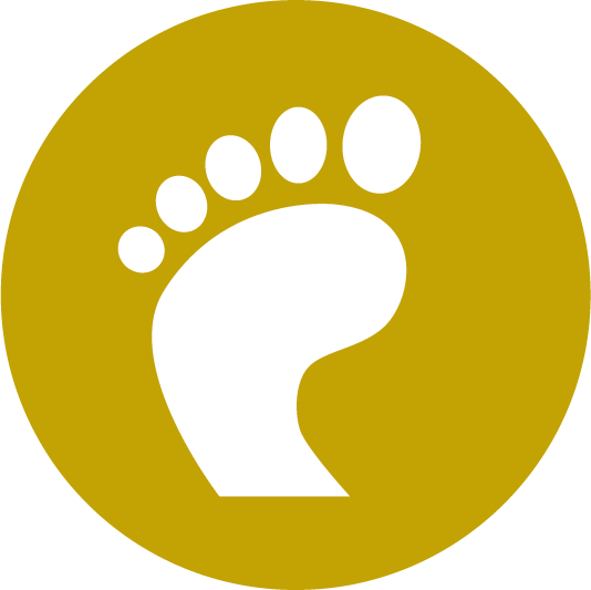 AOS Foot and Ankle Surgery Center Icon