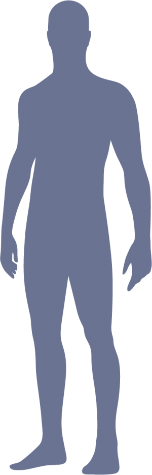 Transparent Outline of Man