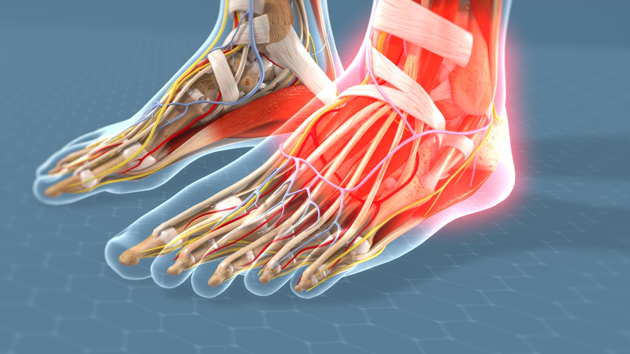 Foot & Ankle Video Library