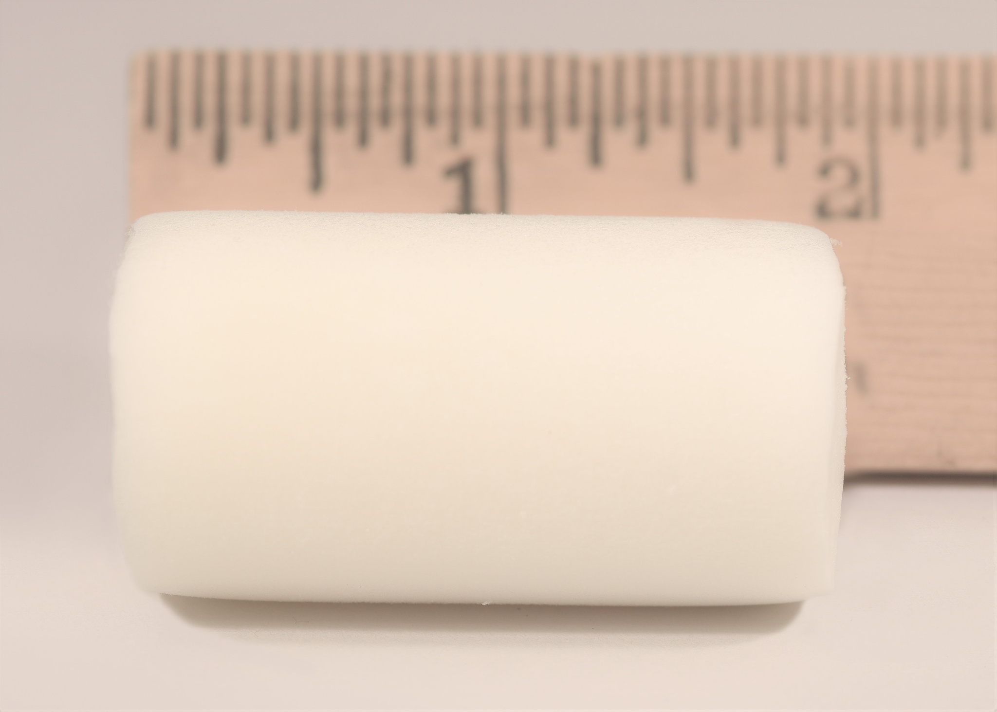 processed-BEAR-piece