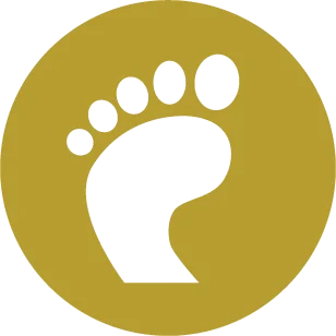 Foot & Ankle