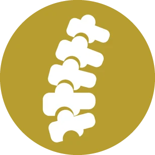 Spine & Scoliosis